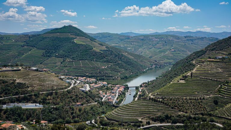 Widok z lotu ptaka na winnice i rzekę w Dolinie Douro